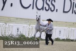 25R13_00616 thumbnail