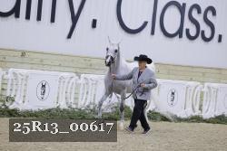 25R13_00617 thumbnail
