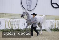 25R13_00620 thumbnail