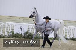 25R13_00621 thumbnail