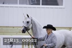 25R13_00622 thumbnail