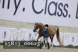 25R13_00623 thumbnail