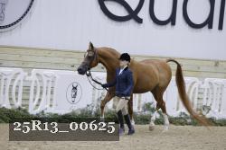 25R13_00625 thumbnail