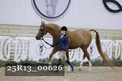 25R13_00626 thumbnail