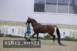 25R13_00653 thumbnail