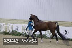 25R13_00654 thumbnail