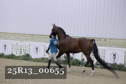 25R13_00655 thumbnail