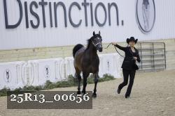 25R13_00656 thumbnail