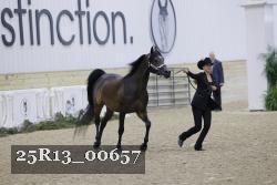 25R13_00657 thumbnail