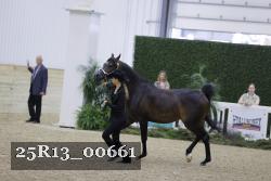 25R13_00661 thumbnail