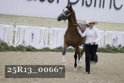 25R13_00667 thumbnail