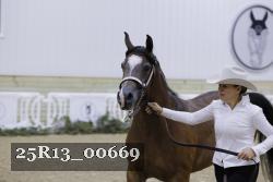 25R13_00669 thumbnail