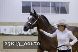 25R13_00670 thumbnail