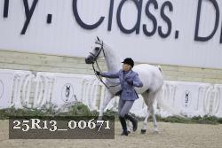 25R13_00671 thumbnail