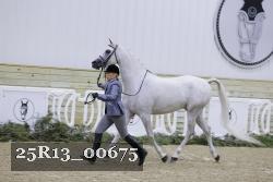 25R13_00675 thumbnail