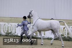 25R13_00677 thumbnail