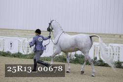 25R13_00678 thumbnail