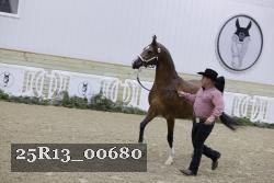 25R13_00680 thumbnail