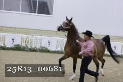 25R13_00681 thumbnail