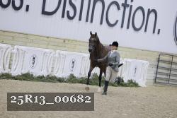 25R13_00682 thumbnail