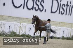 25R13_00683 thumbnail