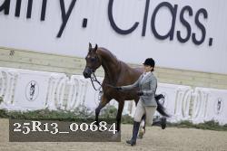 25R13_00684 thumbnail