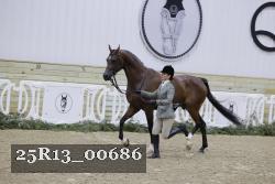 25R13_00686 thumbnail