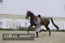 25R13_00687 thumbnail