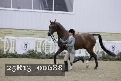 25R13_00688 thumbnail