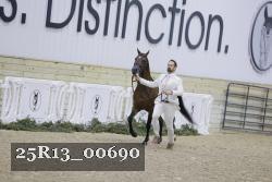 25R13_00690 thumbnail