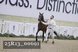 25R13_00691 thumbnail