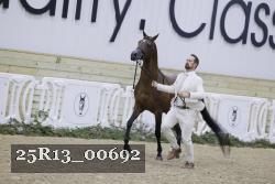 25R13_00692 thumbnail