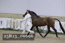 25R13_00696 thumbnail