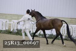 25R13_00697 thumbnail