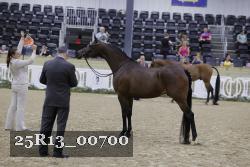 25R13_00700 thumbnail