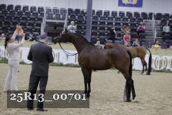 25R13_00701 thumbnail