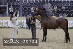 25R13_00704 thumbnail