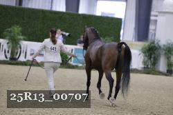 25R13_00707 thumbnail