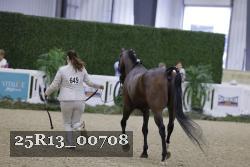 25R13_00708 thumbnail
