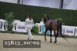 25R13_00709 thumbnail