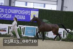 25R13_00710 thumbnail