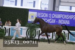 25R13_00711 thumbnail