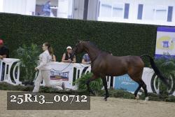 25R13_00712 thumbnail