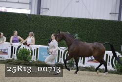 25R13_00713 thumbnail