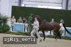 25R13_00714 thumbnail