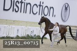 25R13_00715 thumbnail