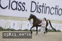 25R13_00716 thumbnail