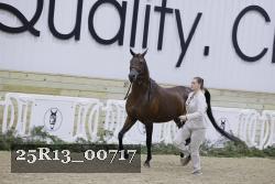 25R13_00717 thumbnail