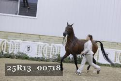 25R13_00718 thumbnail