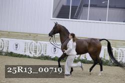 25R13_00719 thumbnail